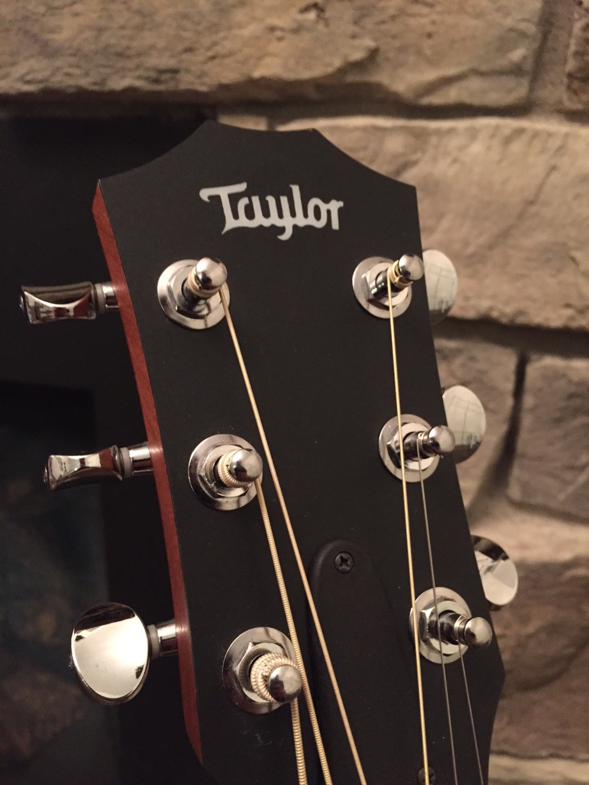 Taylor GS Mini: The Workhorse